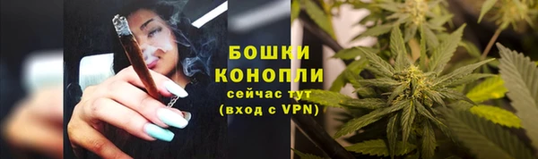 соль ск Няндома
