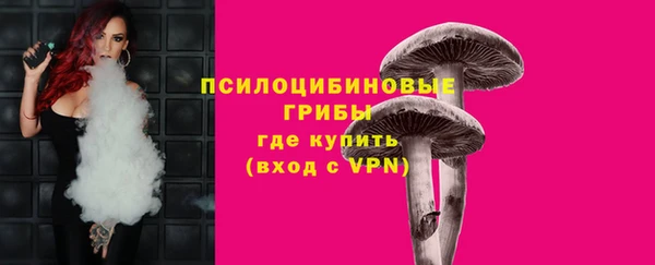 первитин Нягань