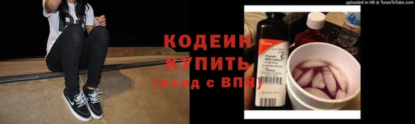соль ск Няндома
