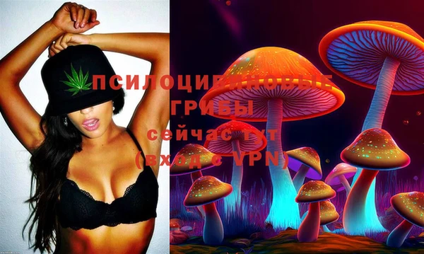 ECSTASY Нязепетровск