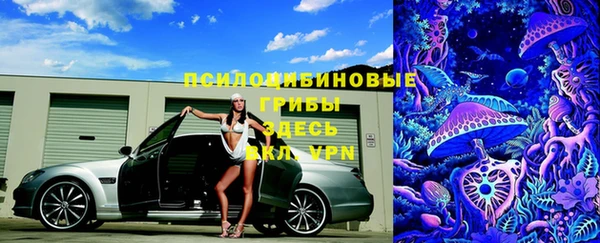 MDMA Premium VHQ Новозыбков