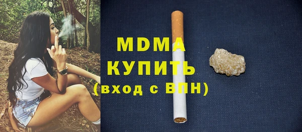 сатива Новодвинск