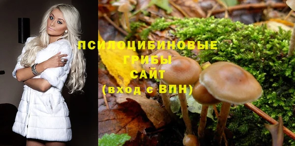 первитин Нягань