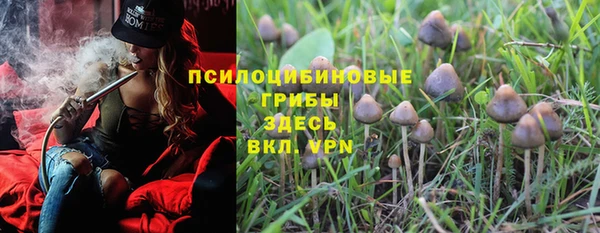 ECSTASY Нязепетровск