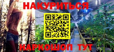 МДПВ Гусев