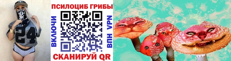 магазин продажи   Клинцы  Псилоцибиновые грибы Magic Shrooms 