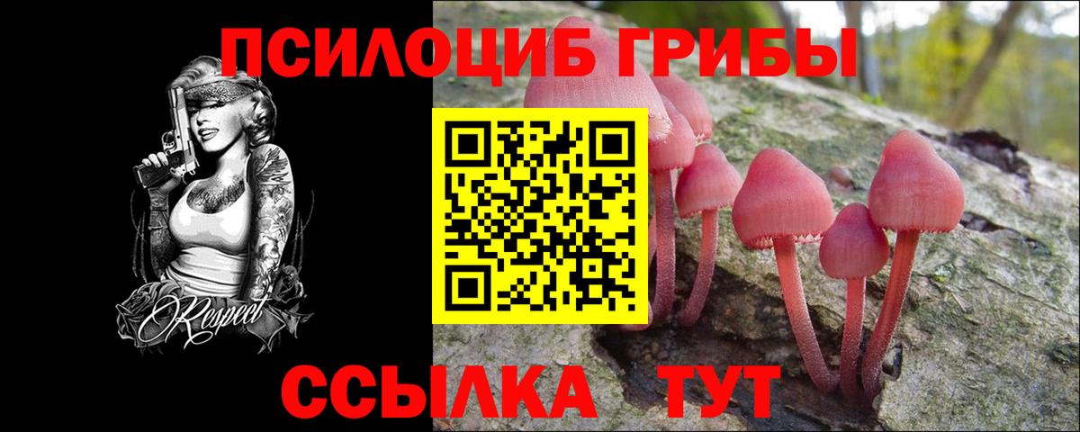 Клинцы  Галлюциногенные грибы Cubensis  Вход с VPN 